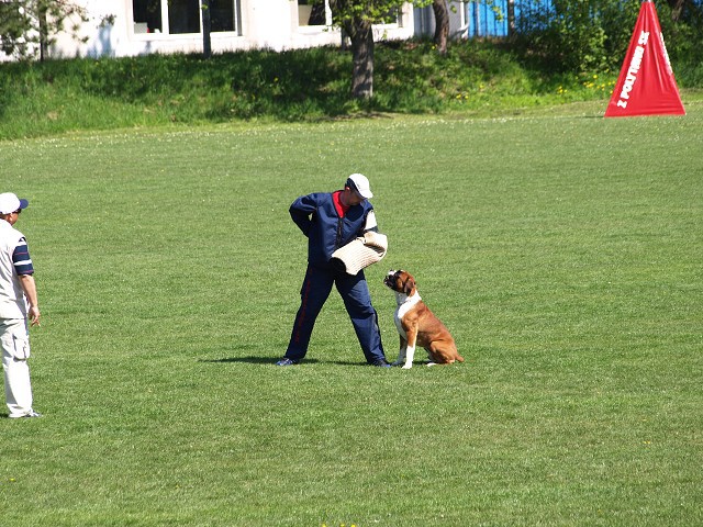 www.atibox.net * www.euroboxer.eu * www.boxergenealogia.eu